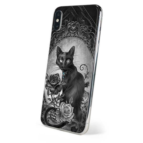 Alchemy Paracelsus - The Philosophers Familiar iPhone XS Max Skin