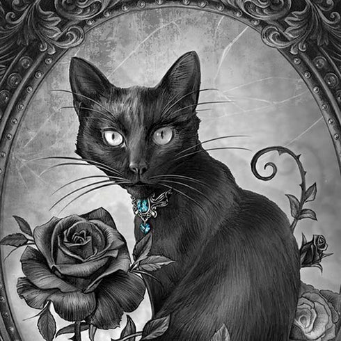 Alchemy Paracelsus - The Philosophers Familiar iPhone XS Max Skin