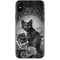 Alchemy Paracelsus - The Philosophers Familiar iPhone XS Skin