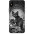 Alchemy Paracelsus - The Philosophers Familiar iPhone XS Skin