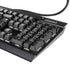 Alchemy Paracelsus - The Philosophers Familiar K95 RGB PLATINUM Mechanical Gaming Keyboard Skin