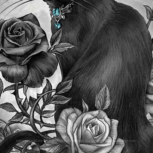 Alchemy Paracelsus - The Philosophers Familiar Moto E5 Play Skin