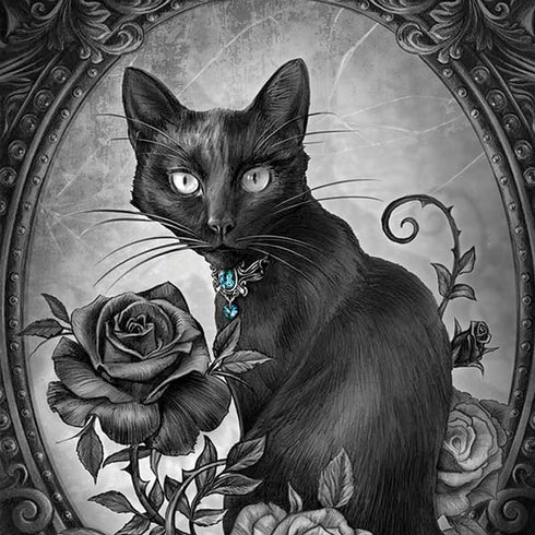 Alchemy Paracelsus - The Philosophers Familiar Moto G6 Skin