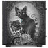 Alchemy Paracelsus - The Philosophers Familiar NZXT H510 Compact ATX Mid-Tower Case Skin