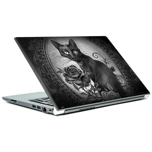 Alchemy Paracelsus - The Philosophers Familiar Portege Z30t/Z30t-A Skin