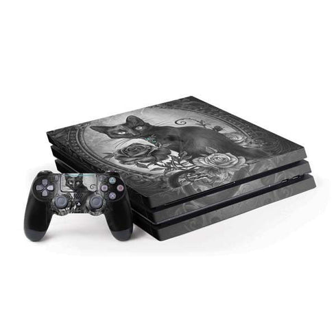 Alchemy Paracelsus - The Philosophers Familiar PS4 Pro Bundle Skin
