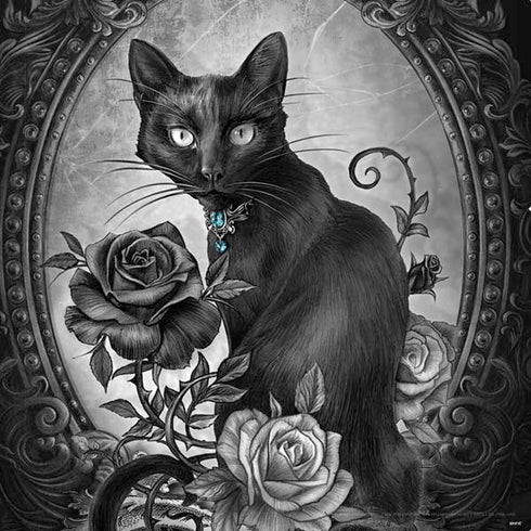 Alchemy Paracelsus - The Philosophers Familiar PS4 Pro Console Skin