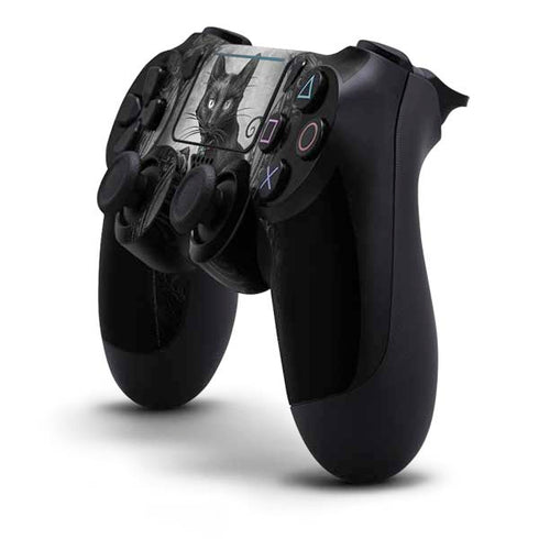 Alchemy Paracelsus - The Philosophers Familiar PS4 Pro/Slim Controller Skin