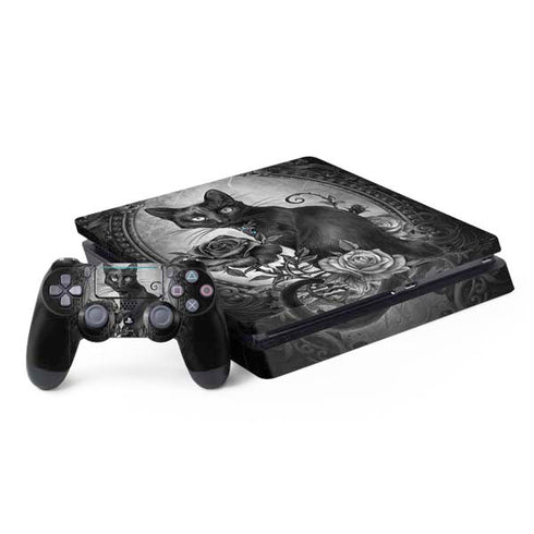 Alchemy Paracelsus - The Philosophers Familiar PS4 Slim Bundle Skin