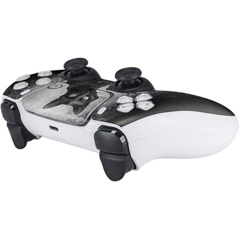 Alchemy Paracelsus - The Philosophers Familiar PS5 Controller Skin