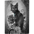 Alchemy Paracelsus - The Philosophers Familiar PS5 Digital Edition Console Skin