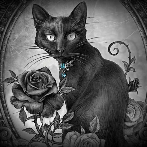 Alchemy Paracelsus - The Philosophers Familiar Surface Book 2 13.5in Skin