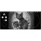Alchemy Paracelsus - The Philosophers Familiar Xbox Adaptive Controller Skin