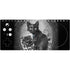 Alchemy Paracelsus - The Philosophers Familiar Xbox Adaptive Controller Skin