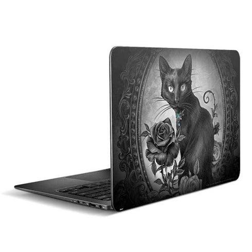 Alchemy Paracelsus - The Philosophers Familiar Zenbook UX305FA 13.3in Skin