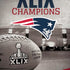 NFL Patriots Super Bowl XLIX Champs iPhone X Skin