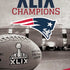 NFL Patriots Super Bowl XLIX Champs iPhone XR Skin