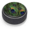 Peacock Animal Print Amazon Echo Dot Skin