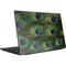Peacock Dell Vostro Skin