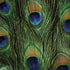 Peacock Animal Print Galaxy Note 8 Skin