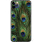 Peacock Animal Print iPhone 11 Pro Max Skin