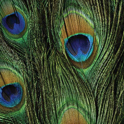 Peacock Animal Print iPhone X Pro Case