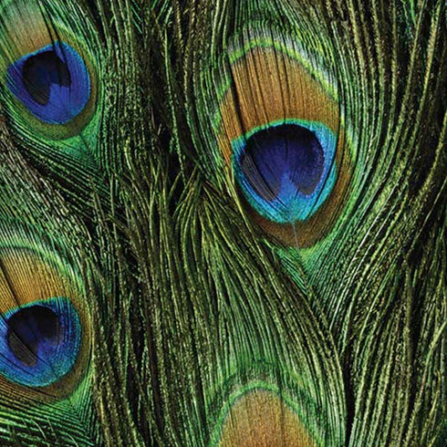 Peacock Animal Print iPhone XR Skin