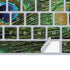 Peacock Animal Print Magic Keyboard Skin