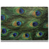 Peacock Animal Print Surface Book 2 13.5in Skin