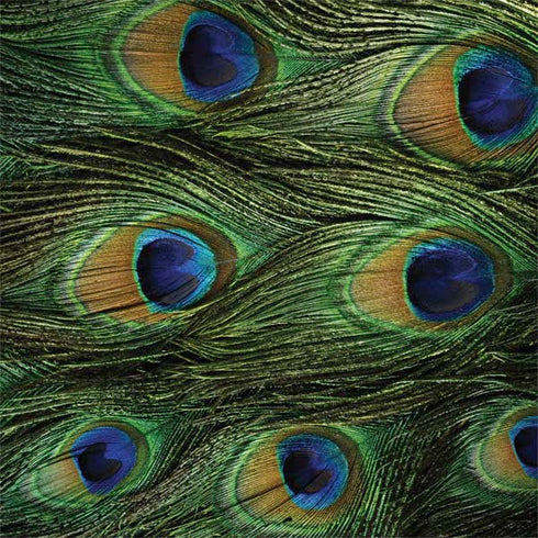 Peacock Animal Print Surface Book 2 13.5in Skin