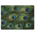 Peacock Animal Print Surface Laptop 3 13.5in Skin