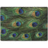 Peacock Animal Print Surface Pro 9 Skin