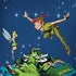 Disney Peter Pan and Tinker Bell in Neverland Galaxy Note 8 Skin