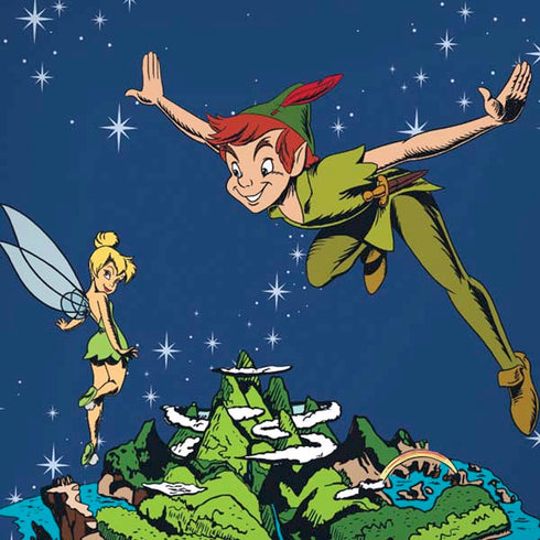 Disney Peter Pan and Tinker Bell in Neverland iPhone X Pro Case