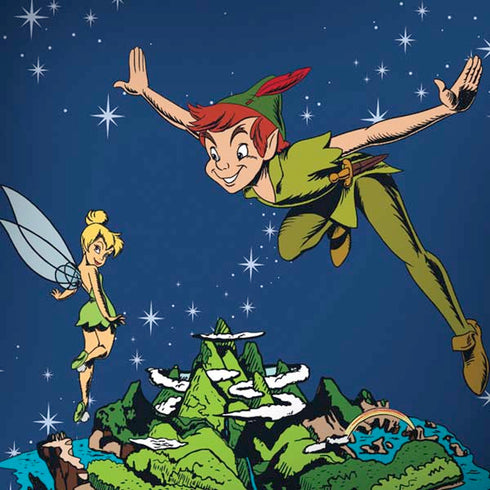 Disney Peter Pan and Tinker Bell in Neverland iPhone X Skin