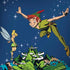 Disney Peter Pan and Tinker Bell in Neverland iPhone X Skin