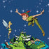 Disney Peter Pan and Tinker Bell in Neverland Otterbox Commuter Galaxy Skin