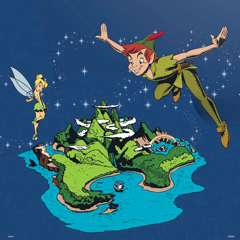 Disney Peter Pan and Tinker Bell in Neverland PS4 Pro Console Skin