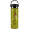Disney Peter Pan and Tinker Bell Portrait Hydro Flask 20oz Wide Mouth Skin