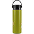 Disney Peter Pan and Tinker Bell Portrait Hydro Flask 20oz Wide Mouth Skin