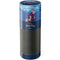 Disney Peter Pan Captain Hook and Smee Amazon Echo Skin