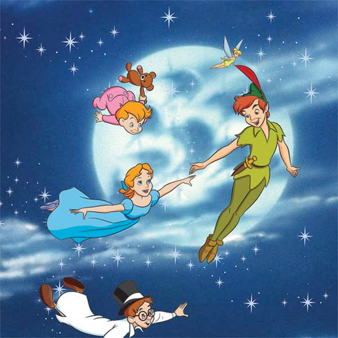 Disney Peter Pan Wendy and the Boys to Neverland Otterbox Commuter Galaxy Skin