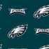 NFL Philadelphia Eagles Blitz Series Nintendo 2DS XL (2017) Skin