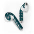 NFL Philadelphia Eagles Blitz Series Apple AirPods 2 Skin