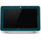 NFL Philadelphia Eagles Green Performance Series Google Home Hub Skin