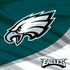 NFL Philadelphia Eagles PS4 Pro Bundle Skin