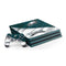 NFL Philadelphia Eagles PS4 Pro Bundle Skin