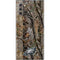 NFL Philadelphia Eagles Realtree AP Camo Galaxy Note 10 Skin