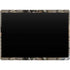NFL Philadelphia Eagles Realtree AP Camo Surface Pro 9 Skin