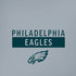 NFL Philadelphia Eagles Silver Performance Series iPhone X Pro Case